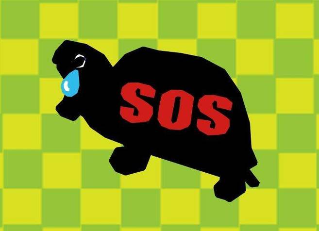 第14回動物たちのSOS展の写真