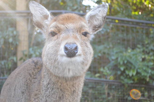 おばあちゃんたちの日頃のケアの写真