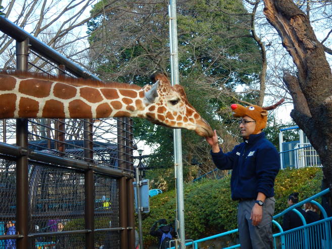 クリスマスプレゼント☆キリンの写真