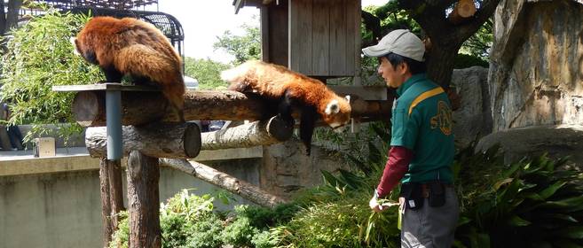 動物たちのお食事タイムの写真