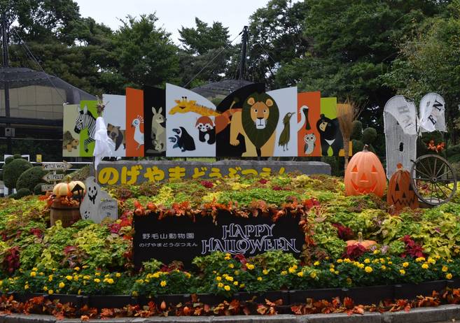 のげやまハロウィンの写真