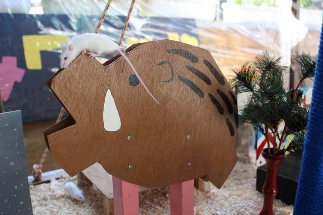 今年の干支の動物は...の写真