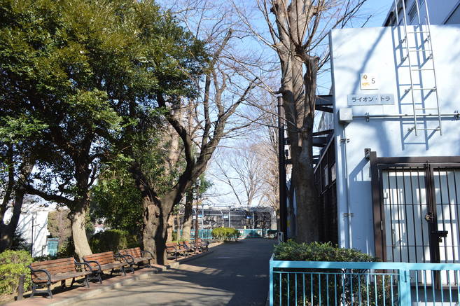春の気配の写真