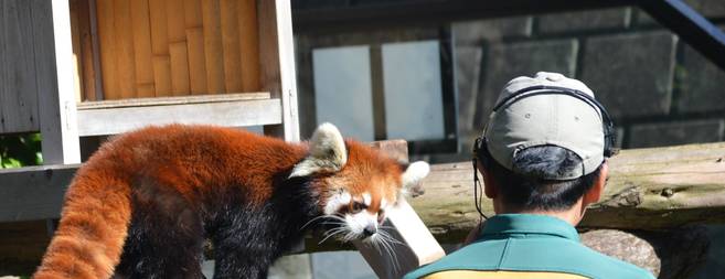 動物たちのお食事タイムの写真