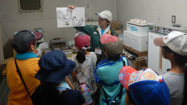 夏休みイベント参加者募集開始!の写真