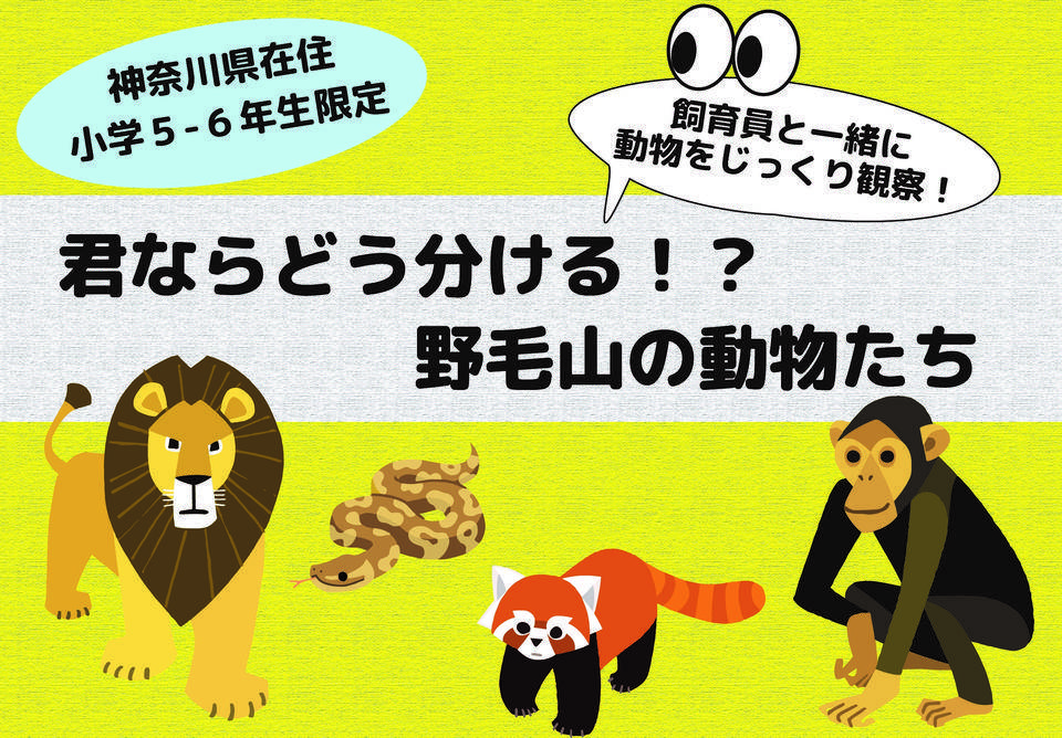 【参加者募集】君ならどう分ける!?野毛山の動物たちの写真