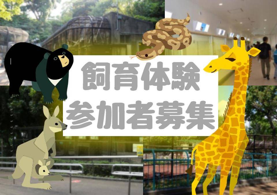 【参加者募集】12月飼育体験イベントの写真