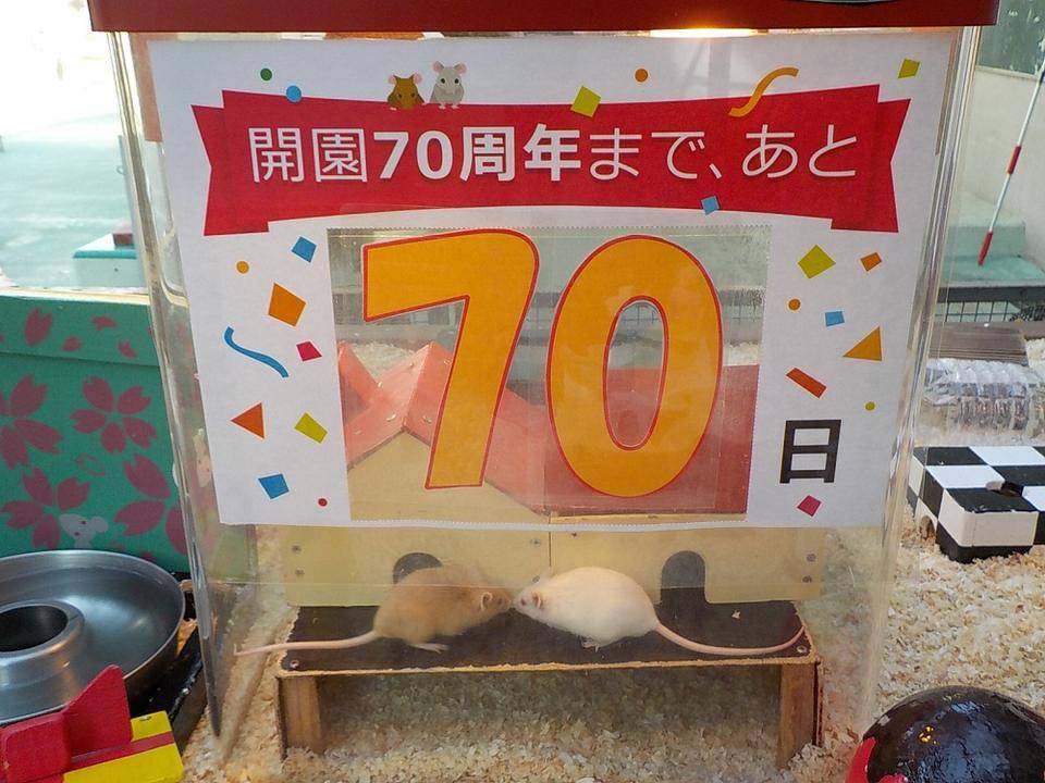 カウントダウン始めました!の写真