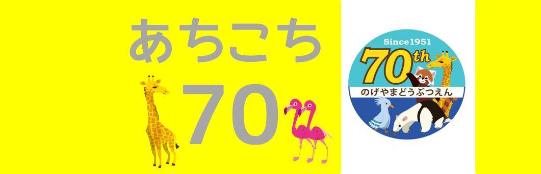 あちこち70の写真