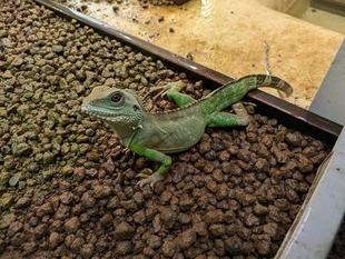 おもいのほか