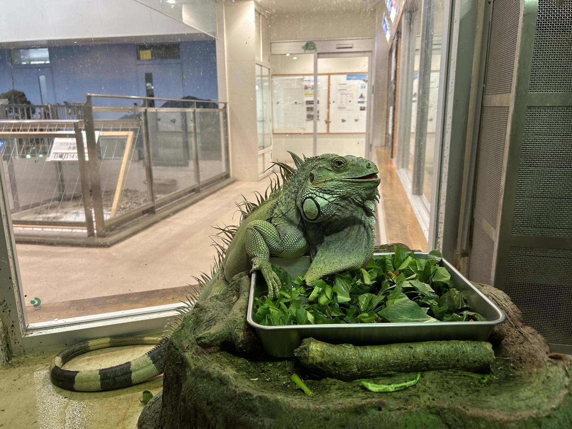 体重計りましたの写真