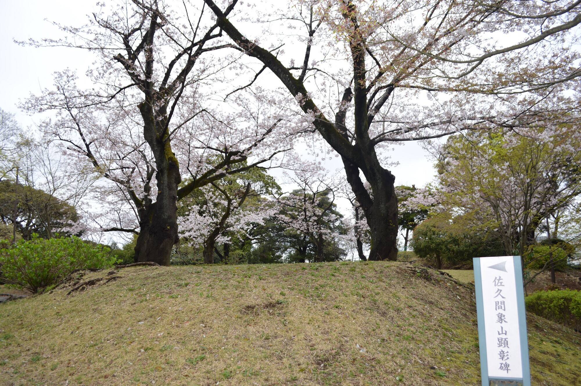 20200328佐久間象山碑向い (2).jpg