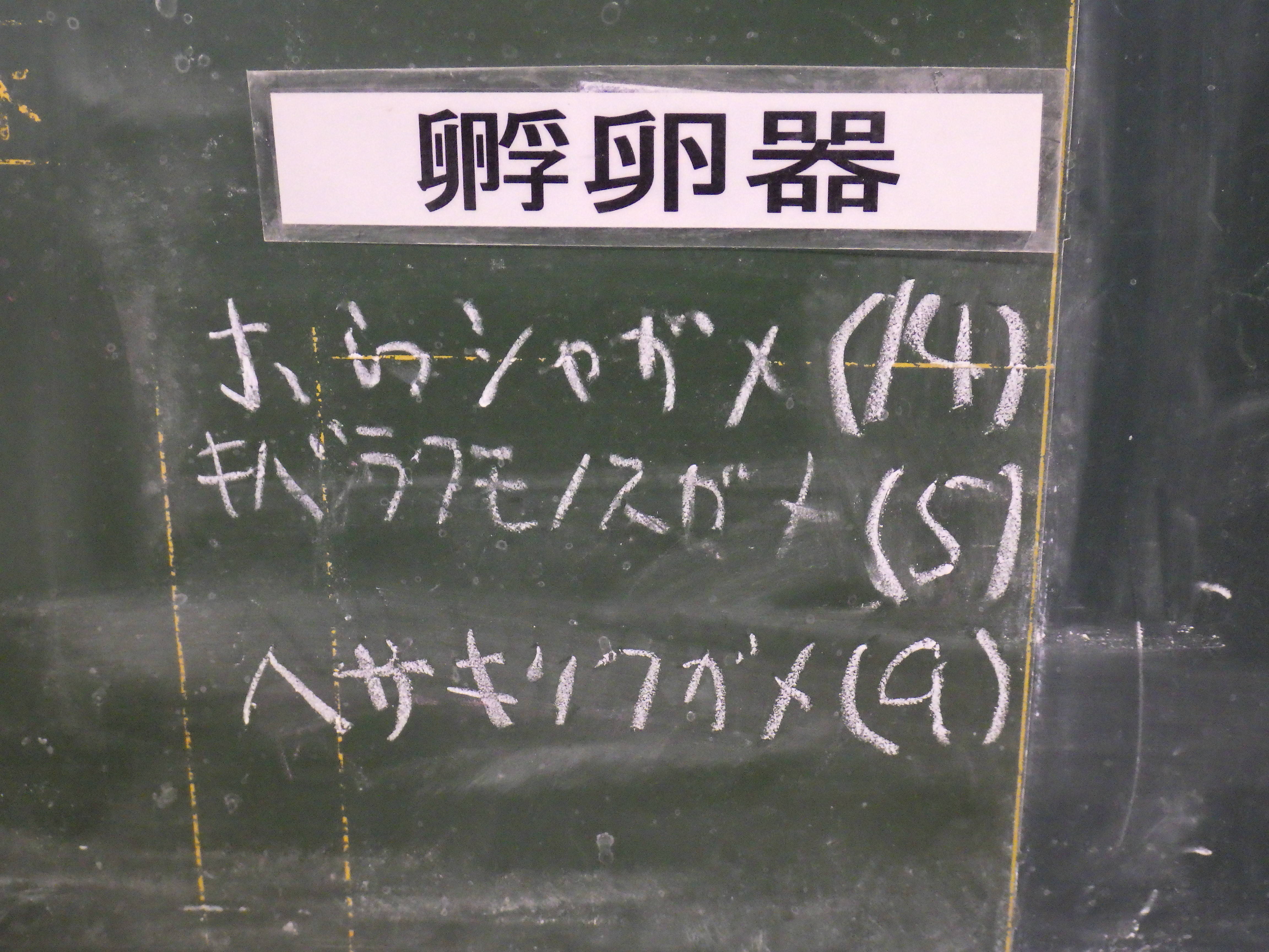 2016ブログれぷ0110⑥.jpg