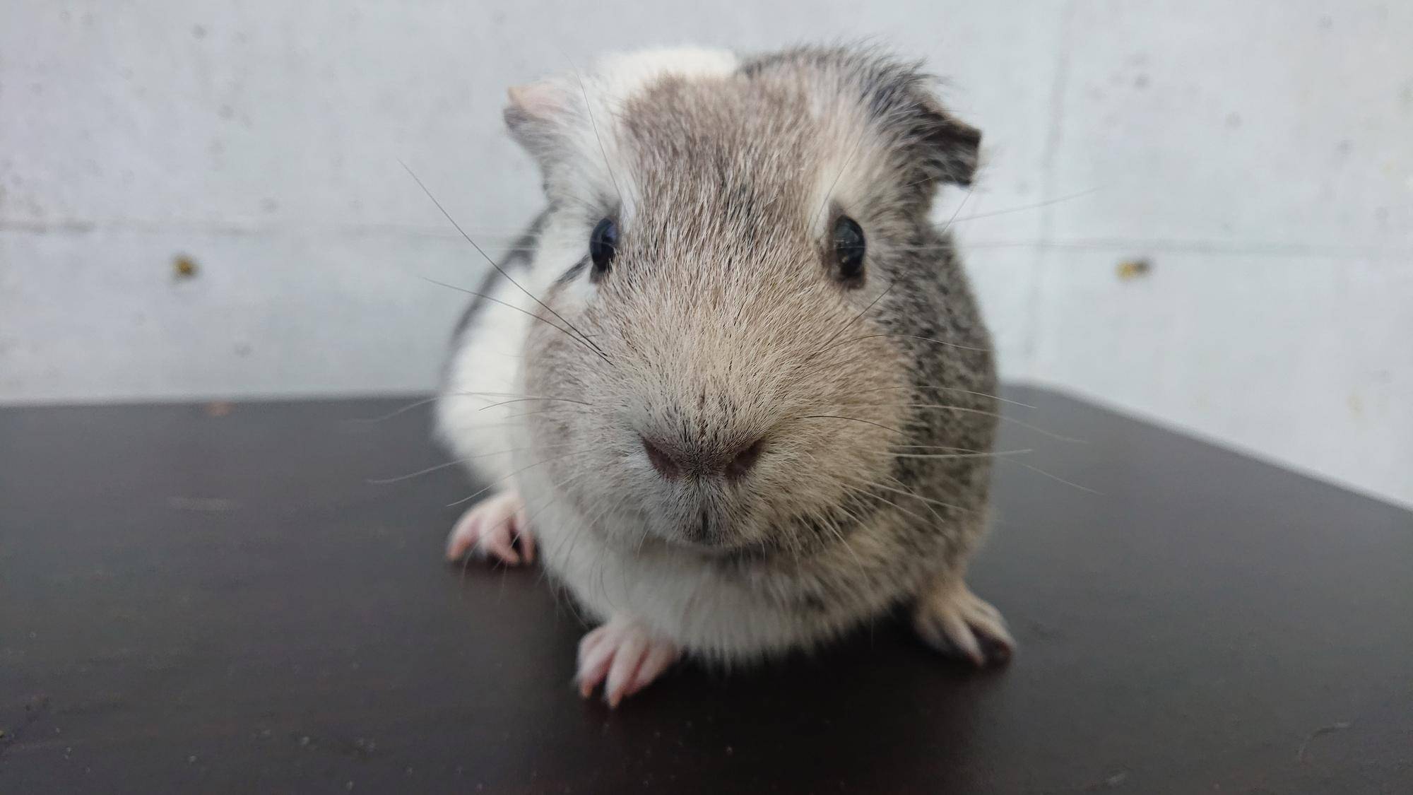 とぅいんくる 正面.jpg