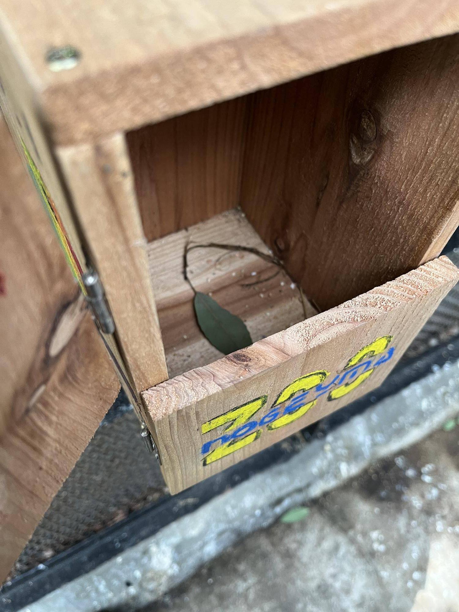 巣箱の中.jpg