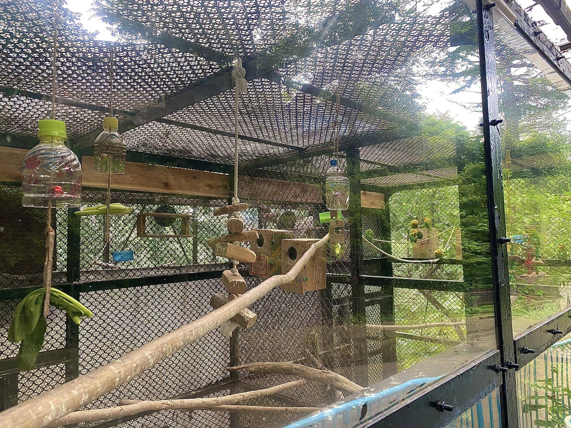 インコの展示場に風鈴設置.jpg