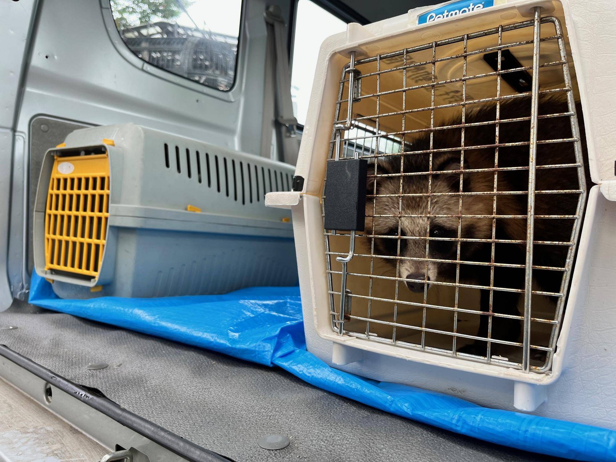 荷台に積み込まれたAたち