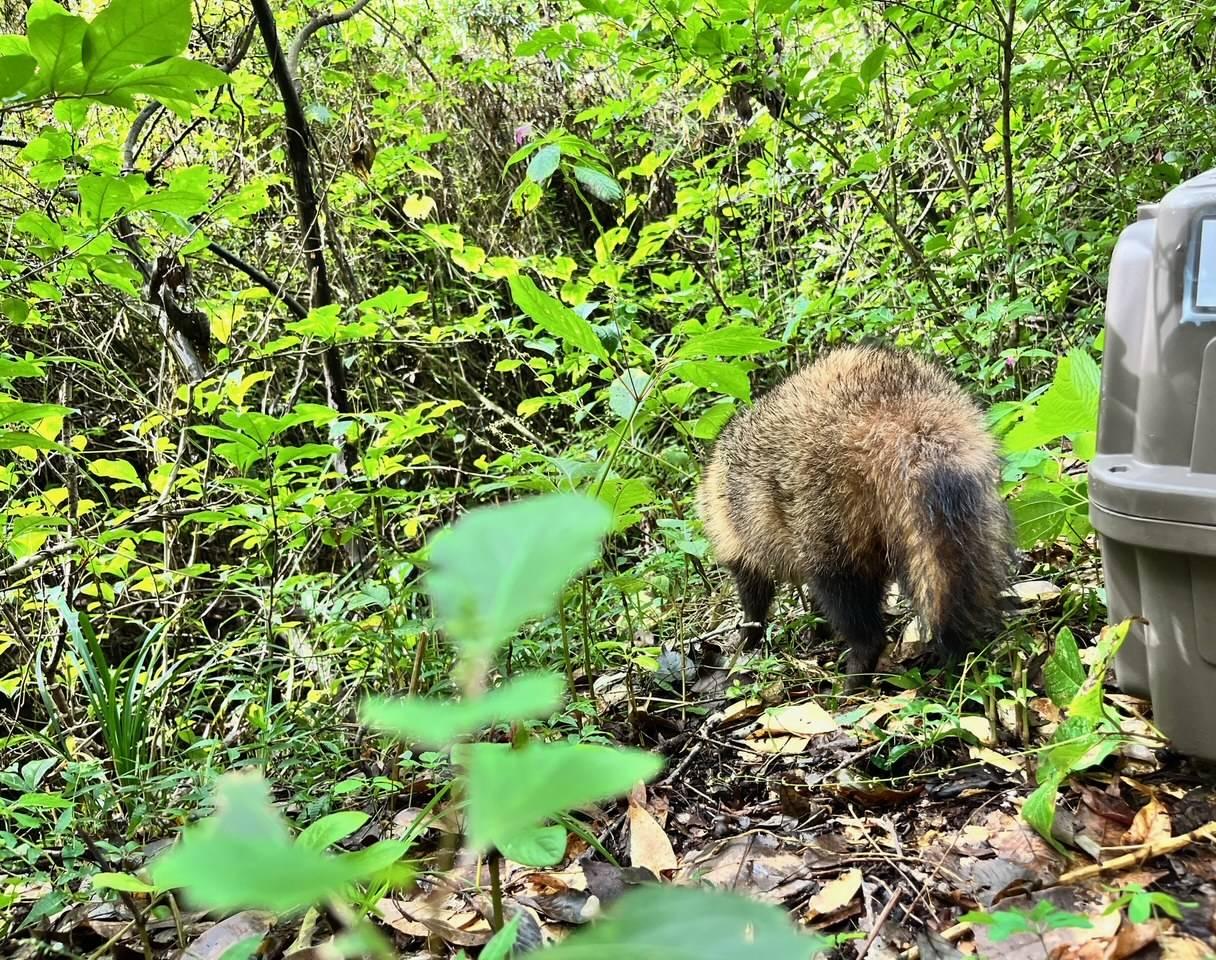 いってらっしゃい