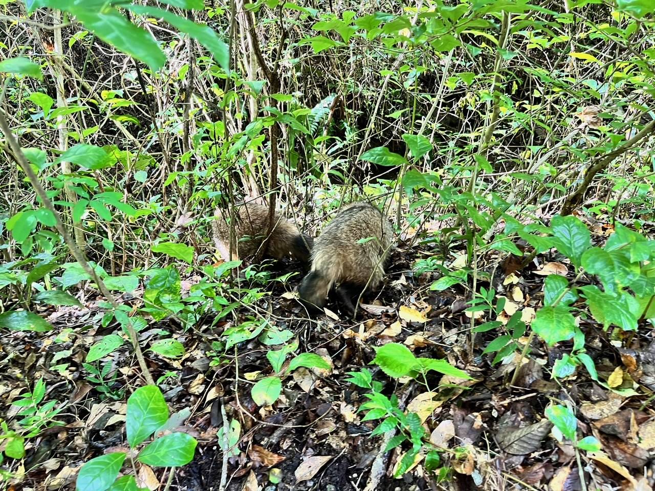 いってらっしゃい2