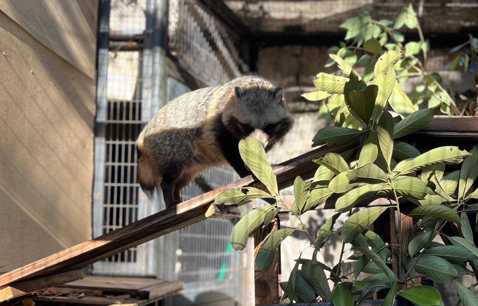 ふくよか冬仕様ヒフミ