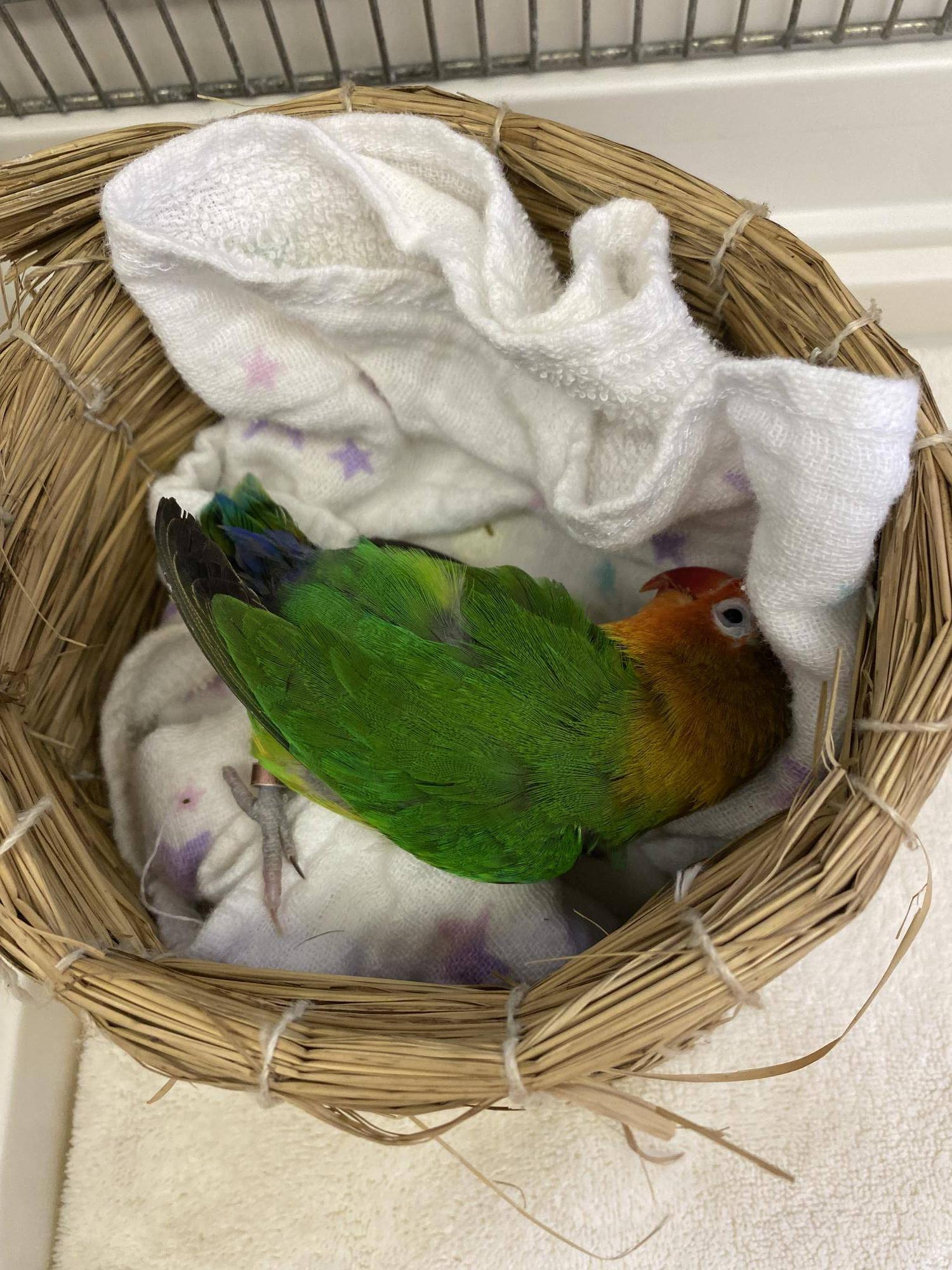 おじじ 病院に引き上げた後.jpg