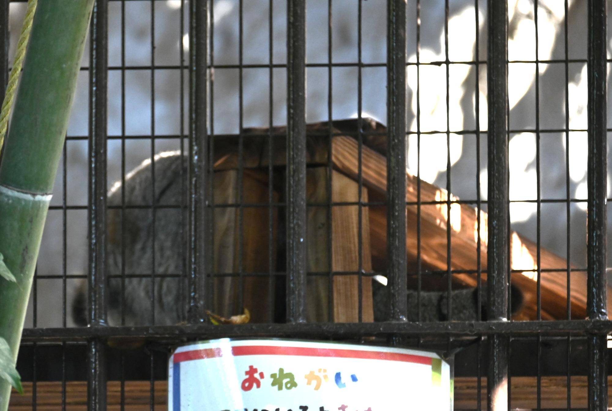 フィーガ出発.jpg