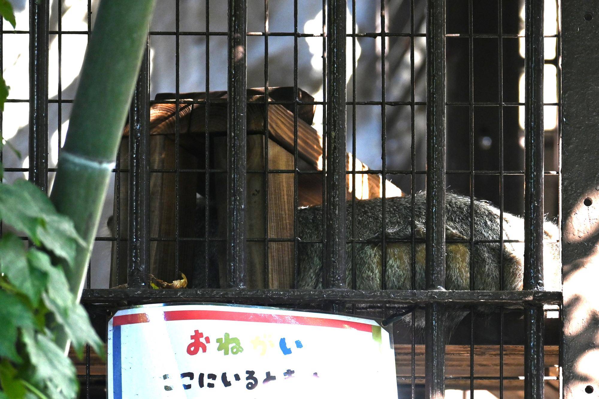 開始前.jpg