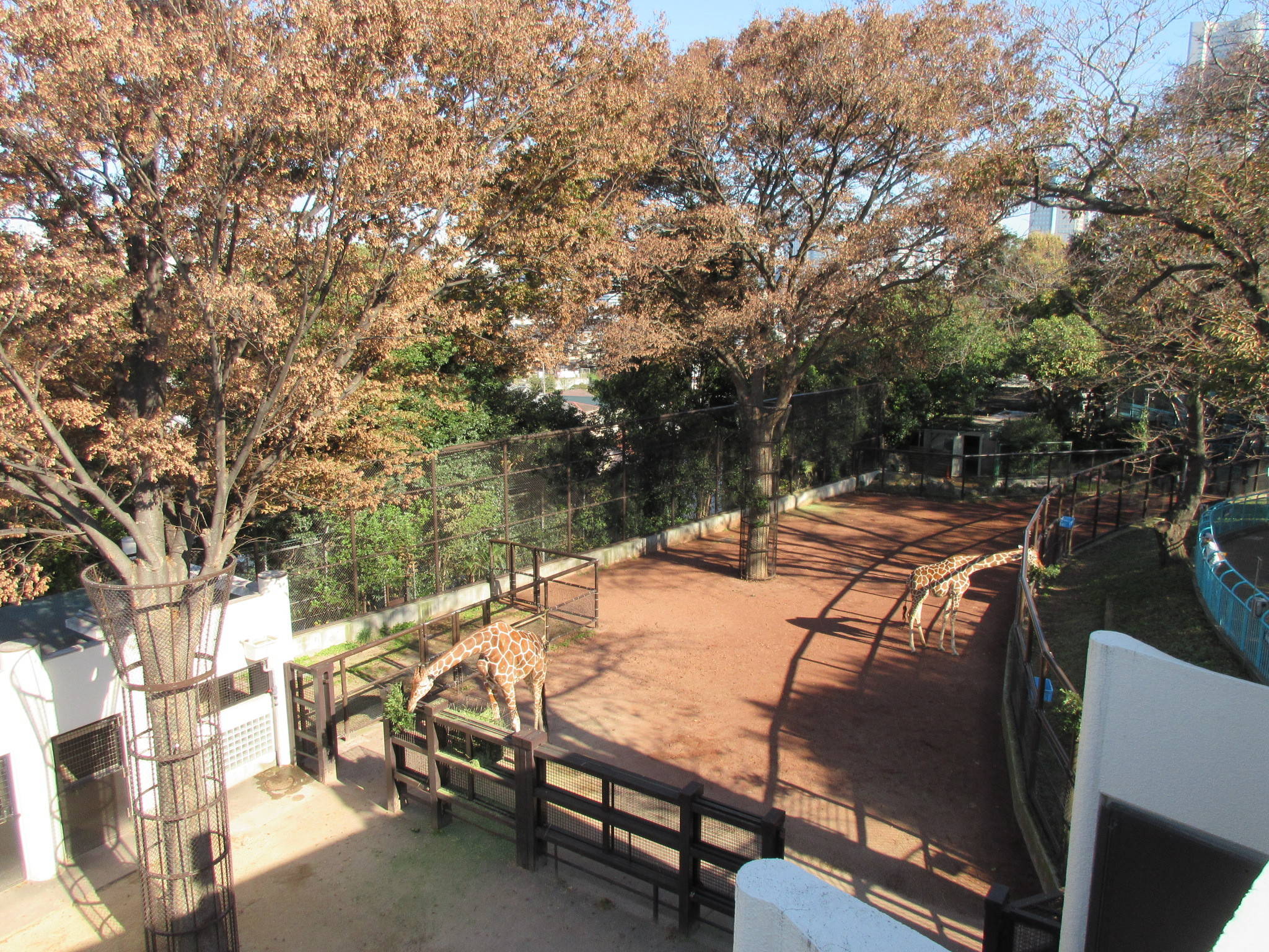 20181126⑩.jpg