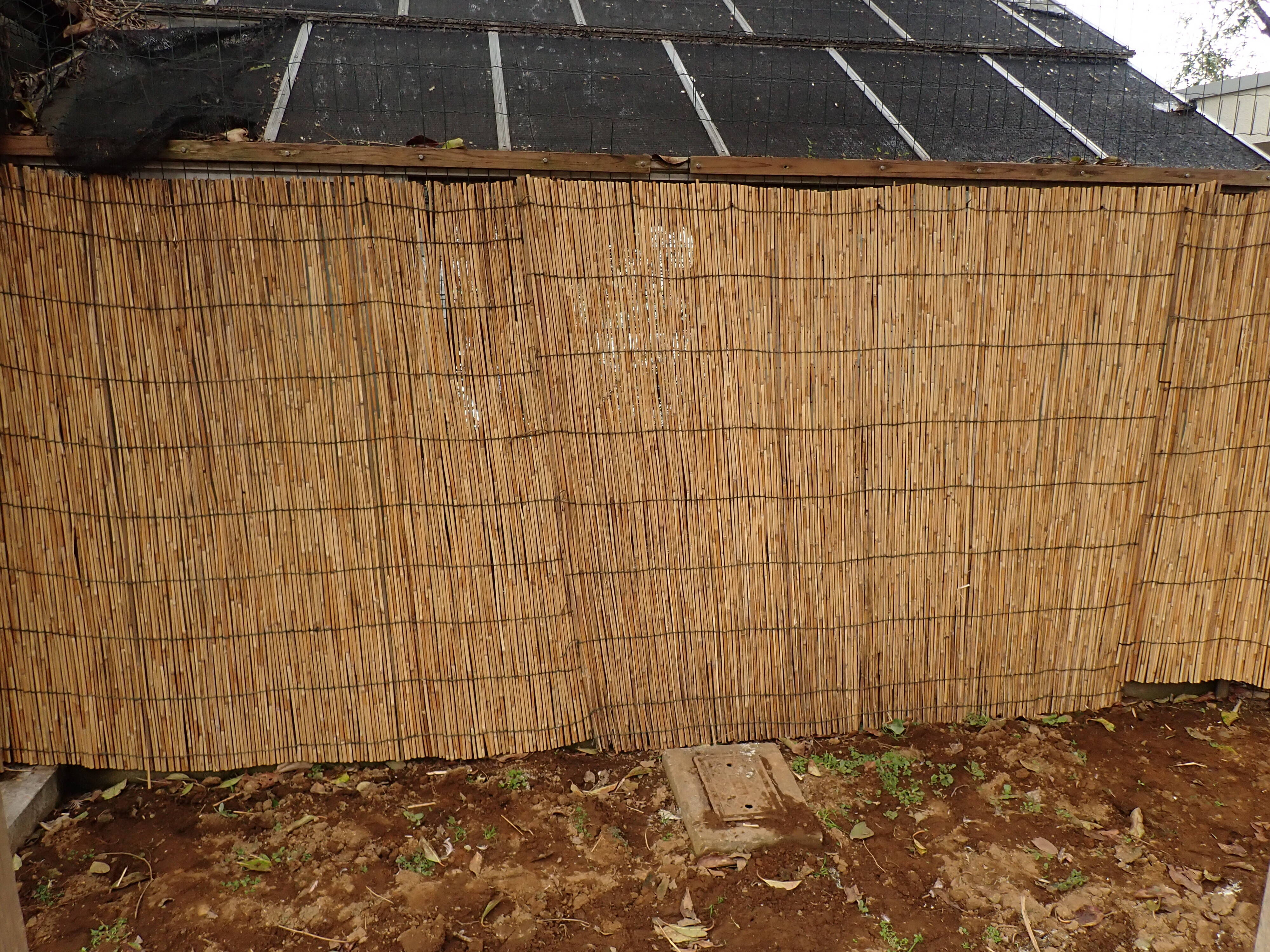 温室葦簀設置後①.jpg