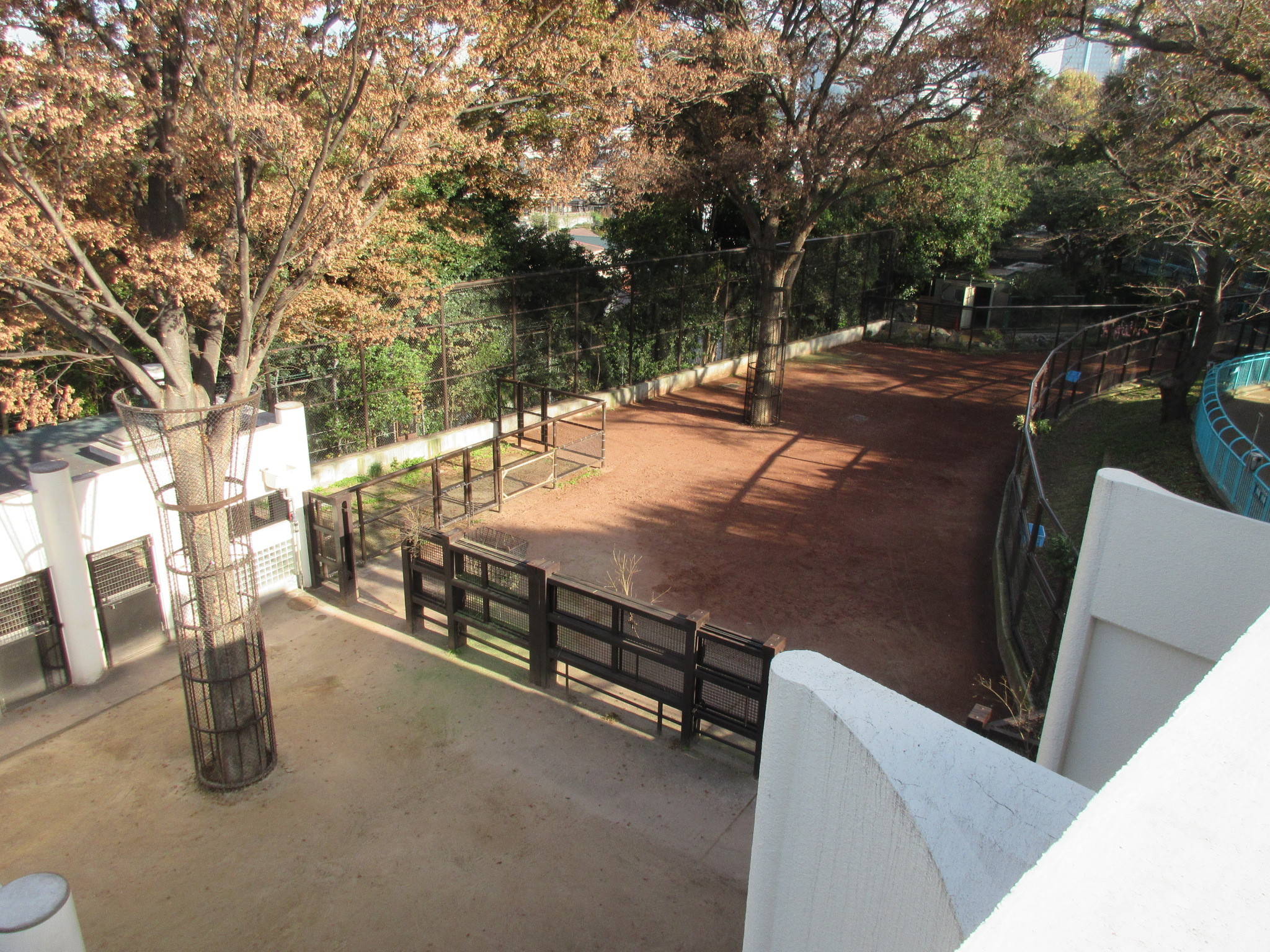 20181126⓻.jpg