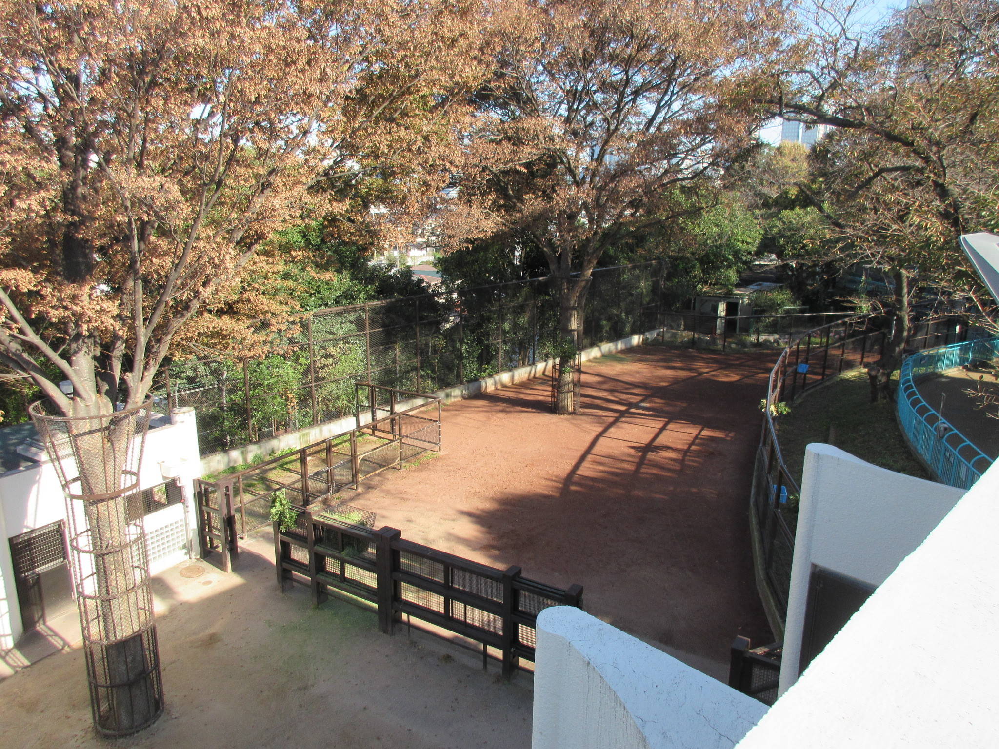20181126⑧.jpg
