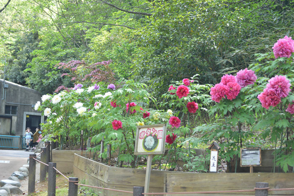 botanen.jpg