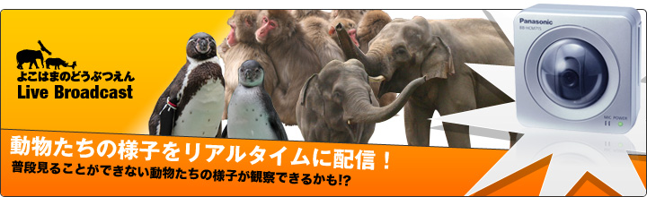 broadcast.png