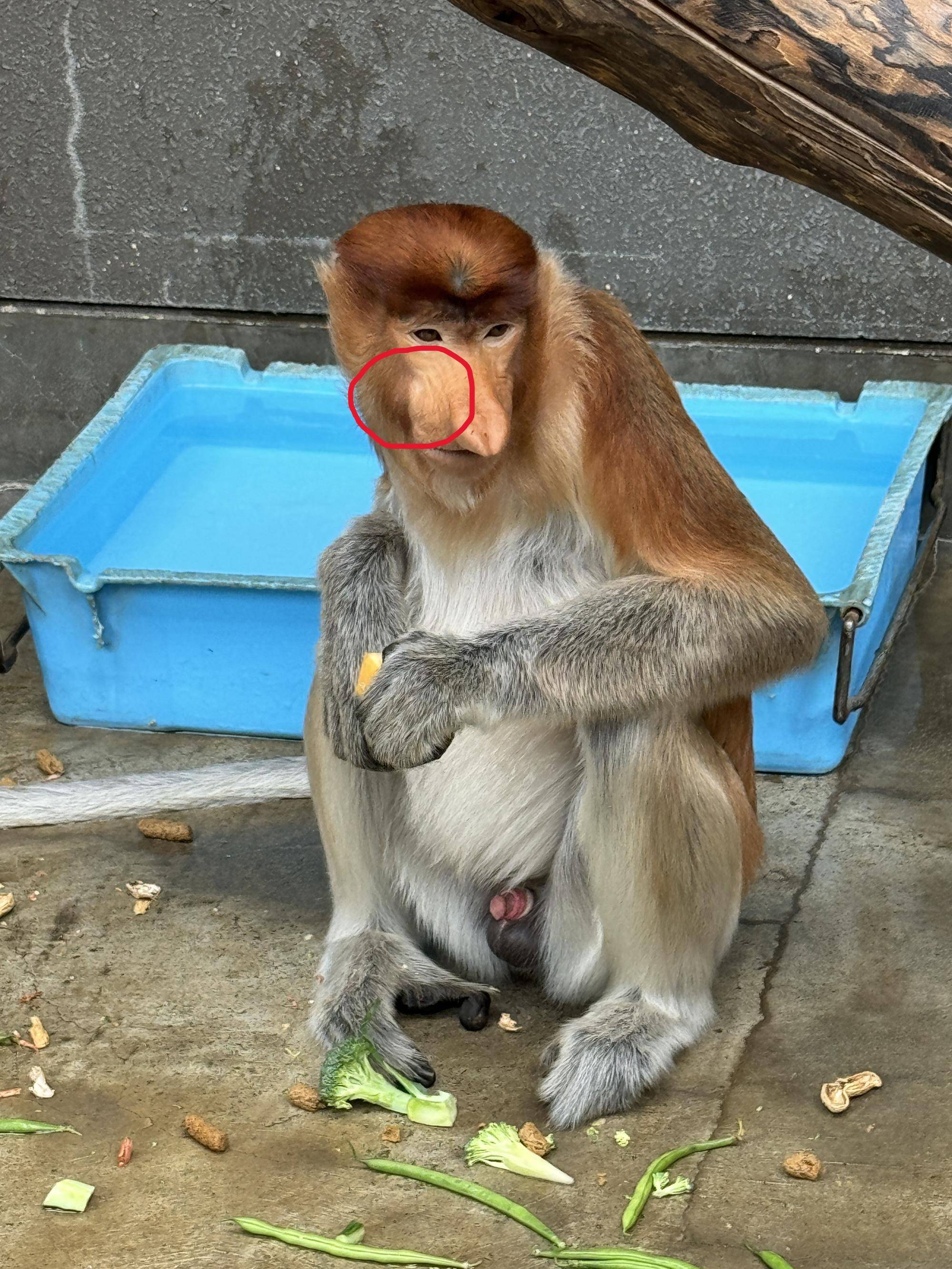 IMG_1022 - コピー.jpg