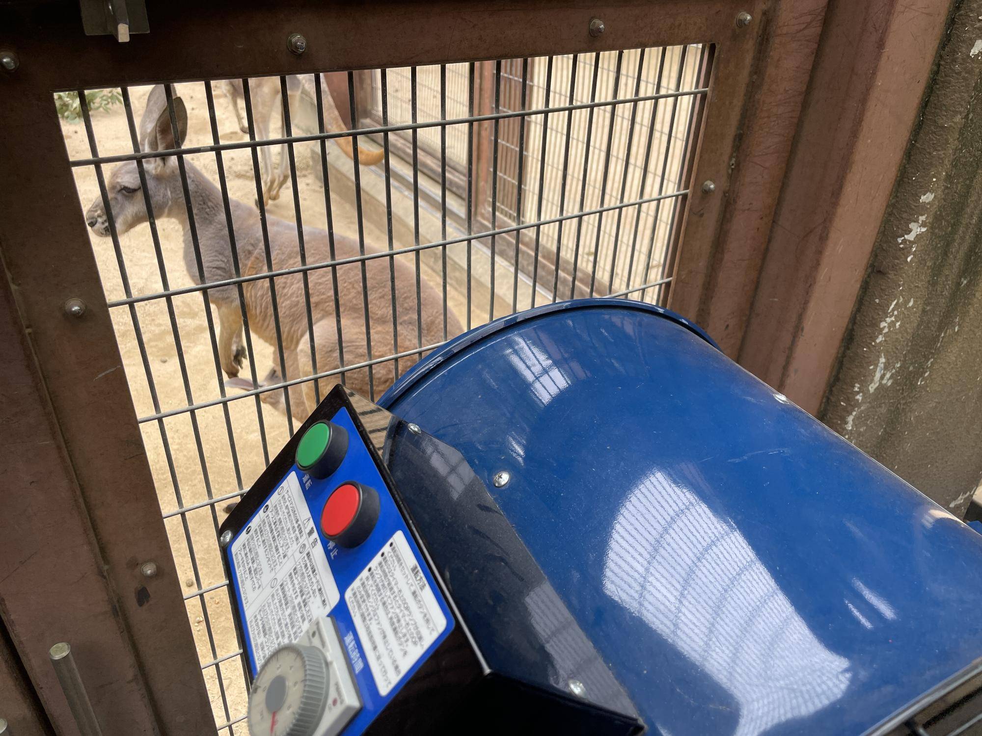 IMG_5076 - コピー (2).jpg