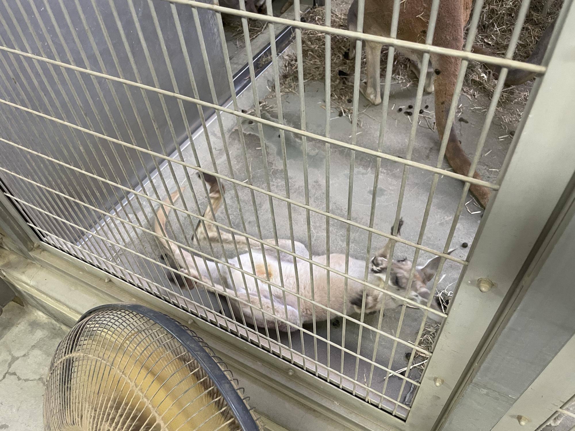 IMG_6342 - コピー (2).jpg