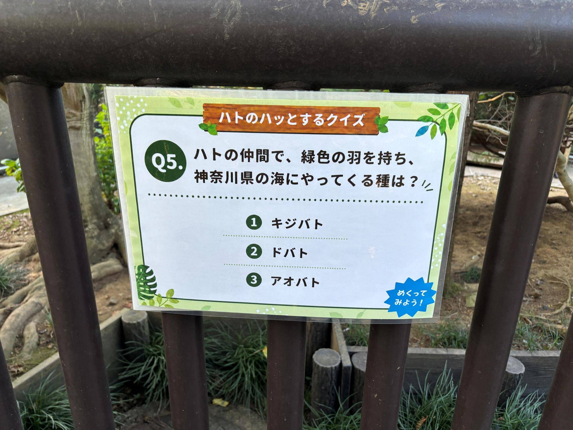 【飼育日誌】20260926:今年も「ハトの日」イベントを実施しました🕊 ハトのハッとするクイズ.jpg