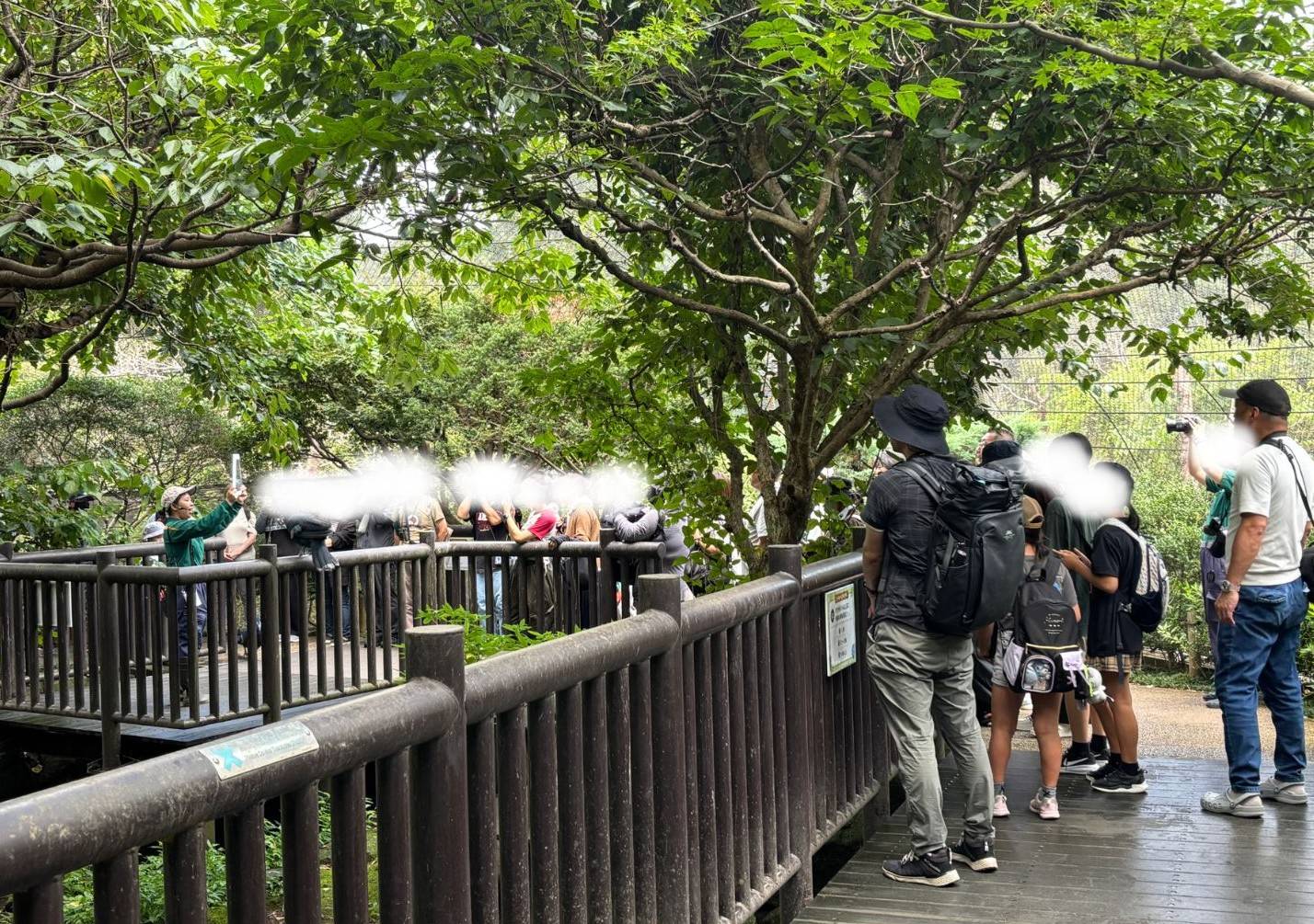 【飼育日誌】20260926:今年も「ハトの日」イベントを実施しました🕊 特別ガイドの様子.jpg