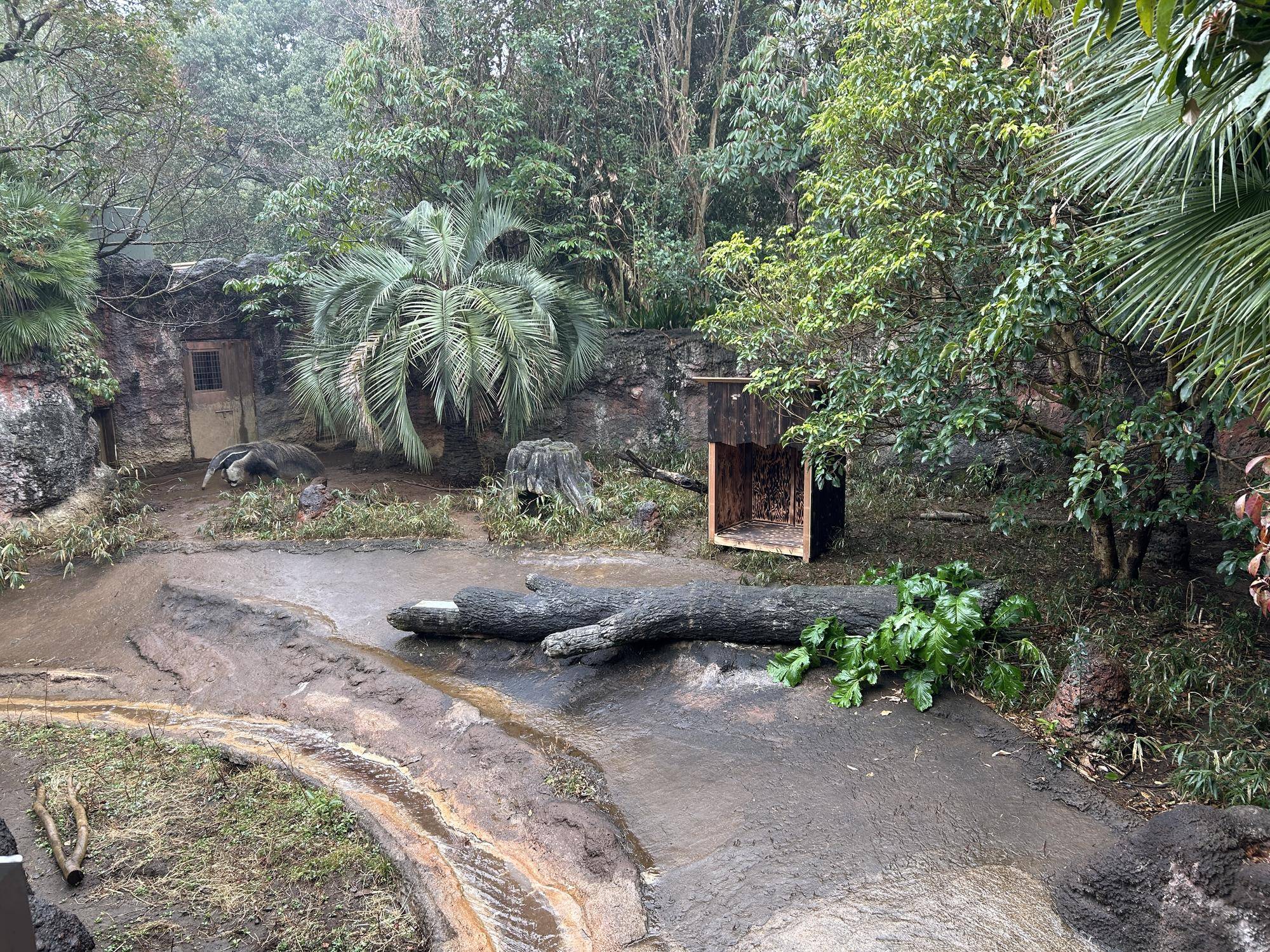 展示場にある小屋