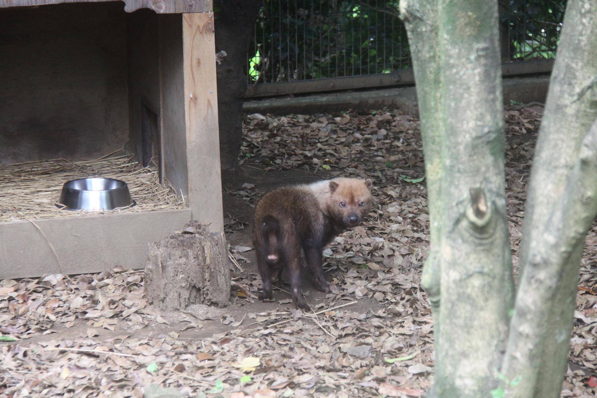 パパマル (2).jpg