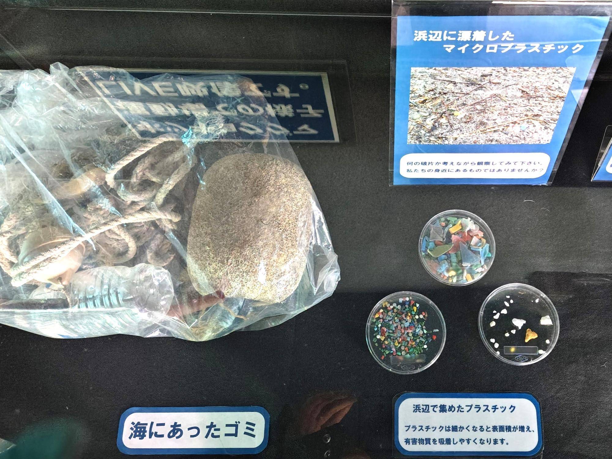 プラスチックゴミ展示.jpg