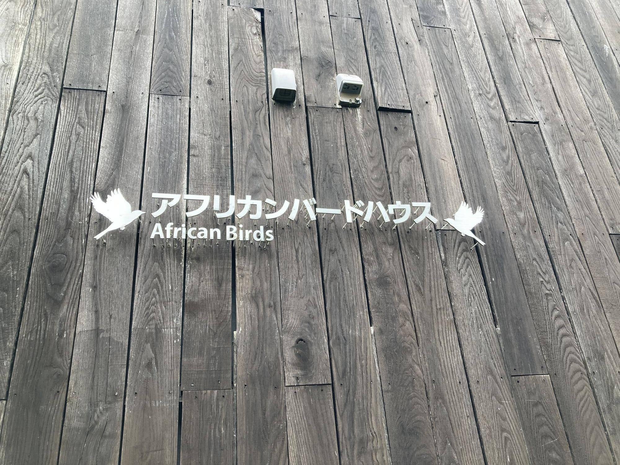アフリカンバードハウス.jpg