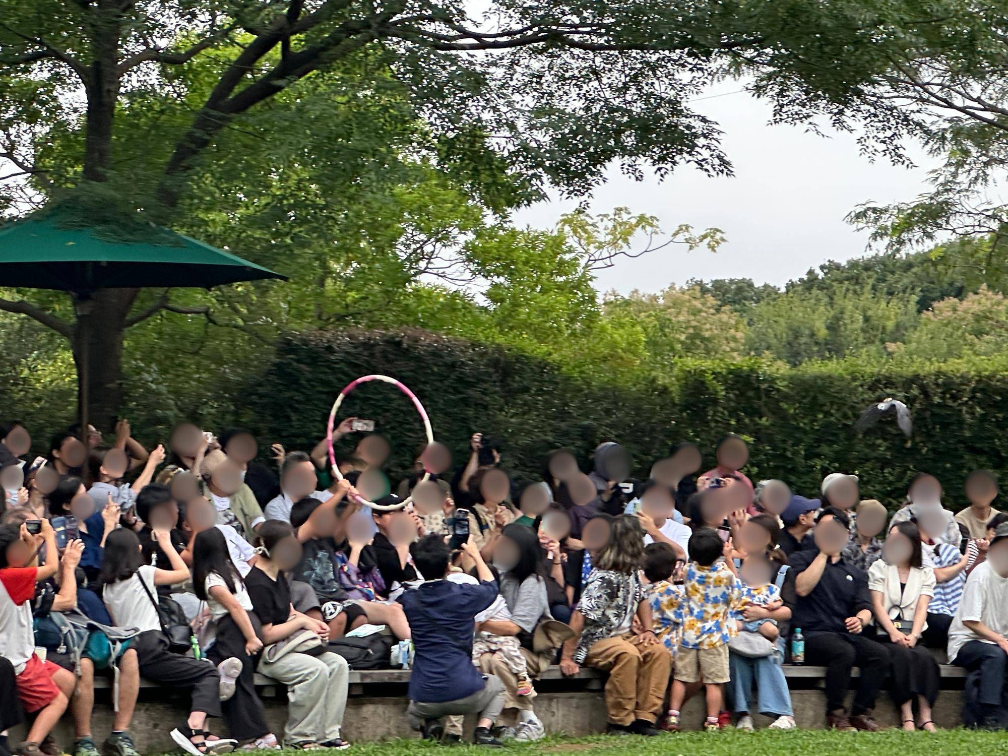 テルのフラフープチャレンジの様子.jpg