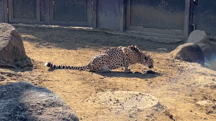 スクリーンショット (77).png