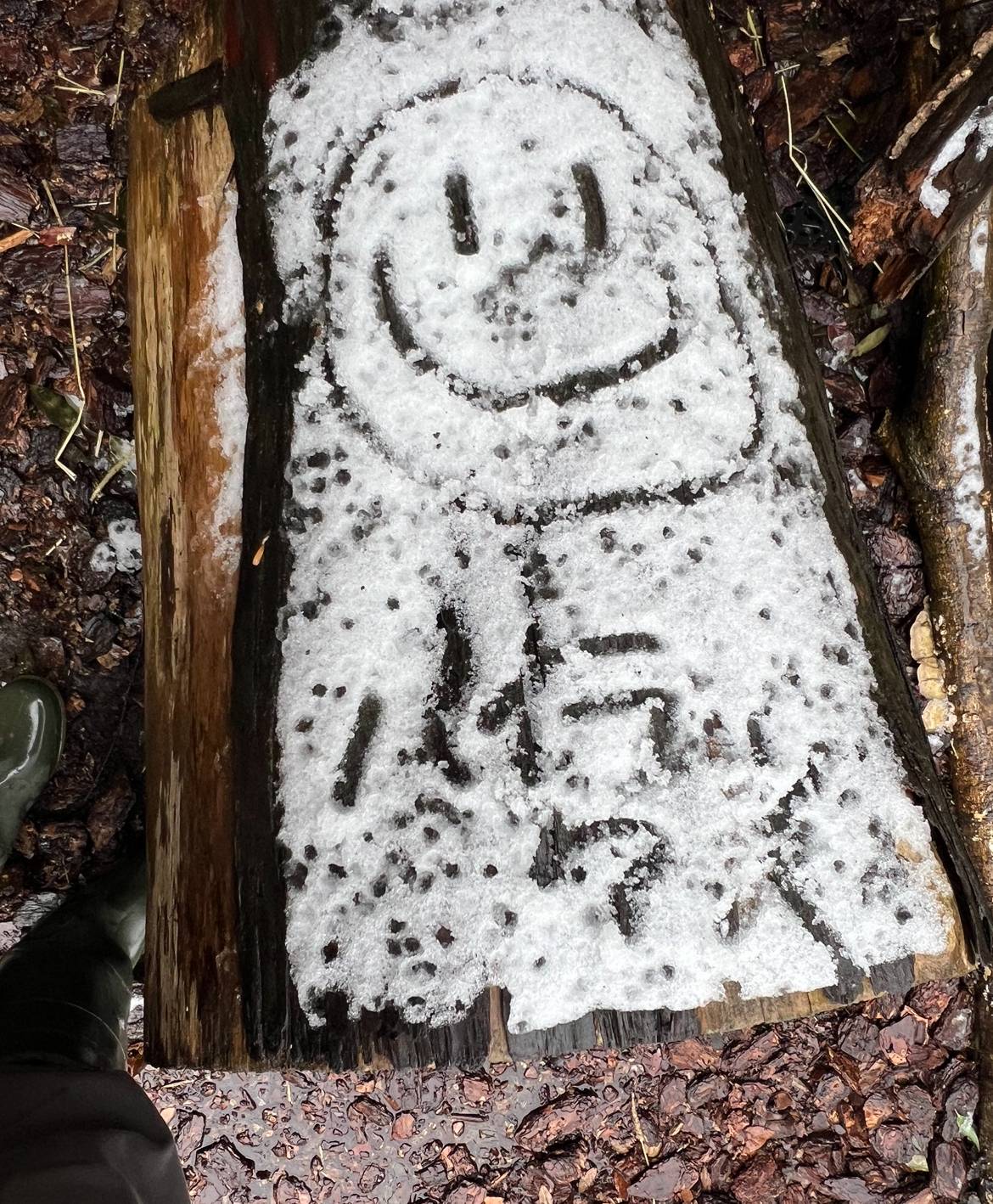 雪ハイラックス