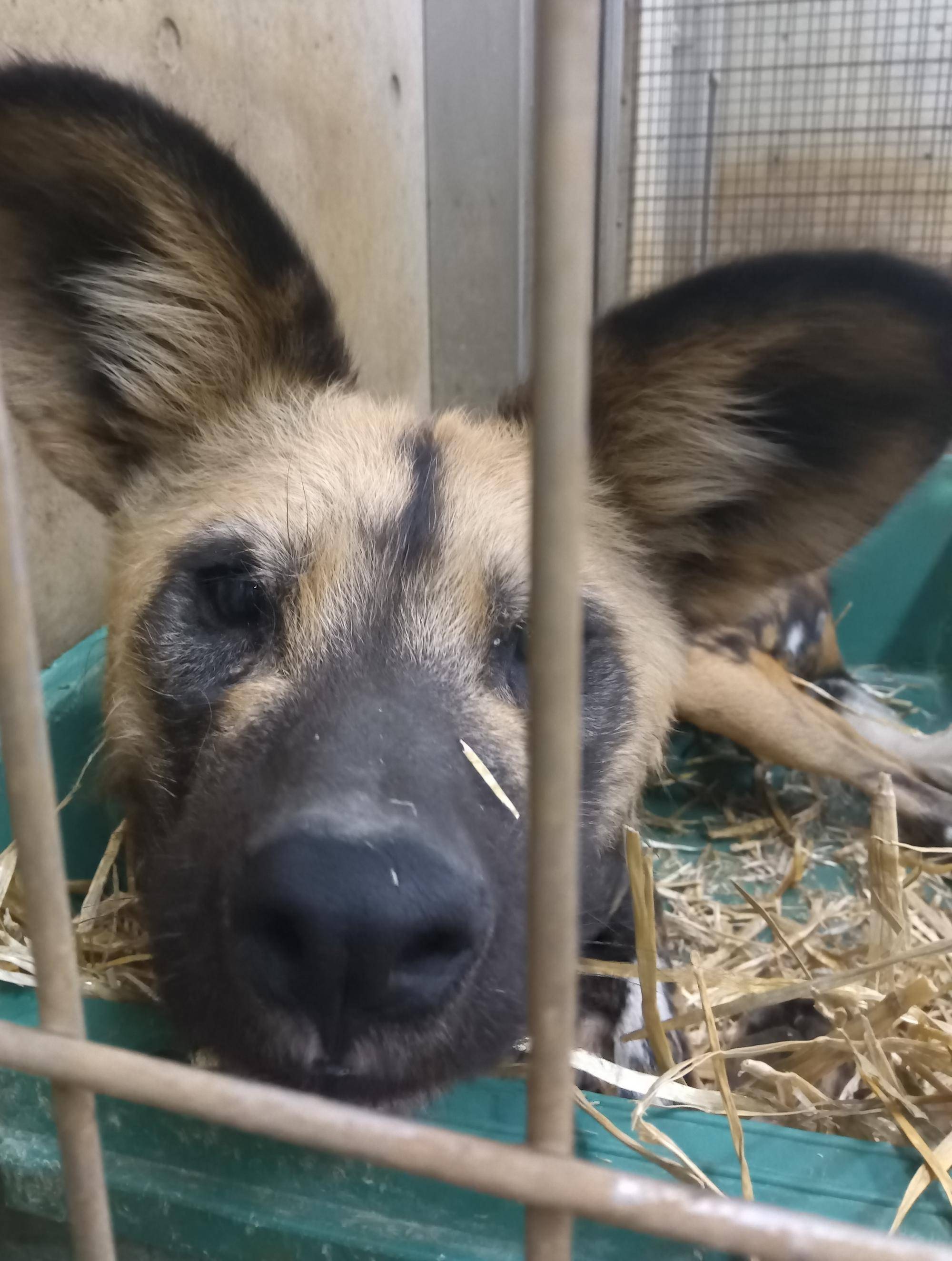 25 顔アップ②.jpg