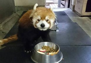 チャタロウ、ほな、またな。