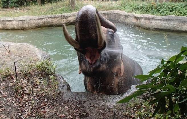 寒くないようです・・・の写真