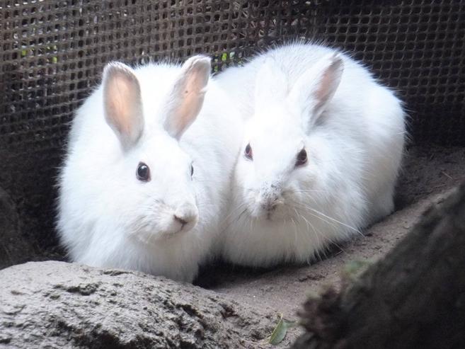 愛されています♡♡♡♡♡の写真