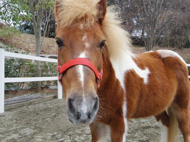 寒くないの?の写真
